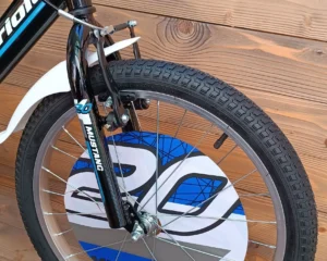 Bicicleta 20 inch baieti Capriolo Mustang black blue