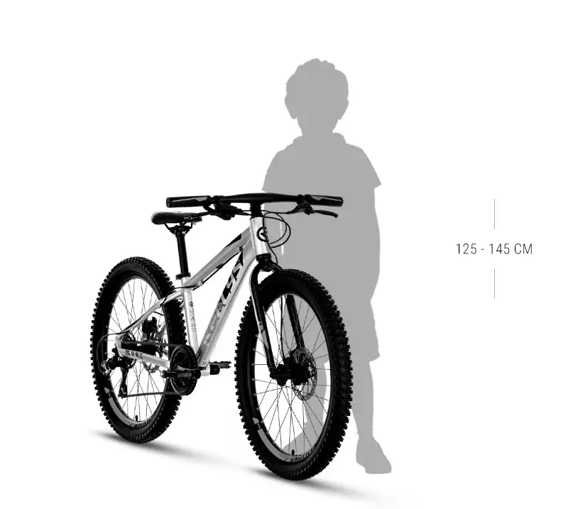 Bicicleta copii 8 ani Kellys Marc 70 silver