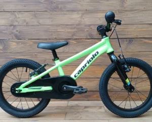Bicicleta copii verde aluminiu Capriolo LC butuci pe rulmenti