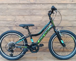Bicicleta mtb copii balck green Capriolo Diavolo 200