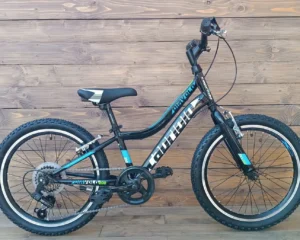 Bicicleta mtb copii black blue Capriolo Diavolo 200