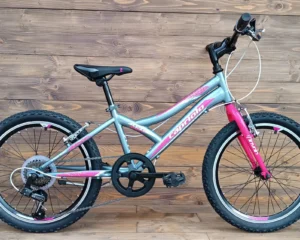 Bicicleta mtb copii gri roz Capriolo Diavolo 200