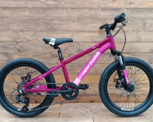 Bicicleta mtb copii mov cu frane pe disc Capriolo Lc 20