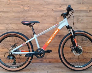 Bicicleta copii cu frane pe disc gri portocaliu Capriolo LC 24