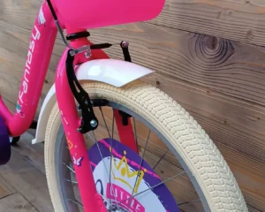 Bicicleta roz mov Capriolo Fantasy 20"