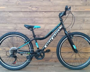 Bicicleta copii 24 inch negru albastru Capriolo Diavolo cadru otel