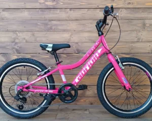 Bicicleta fete roz mov Capriolo Diavolo viteze 6