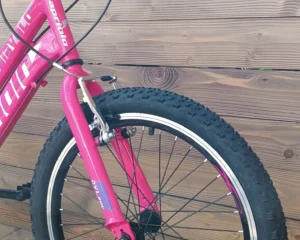 Bicicleta fete roz mov Capriolo Diavolo viteze 6