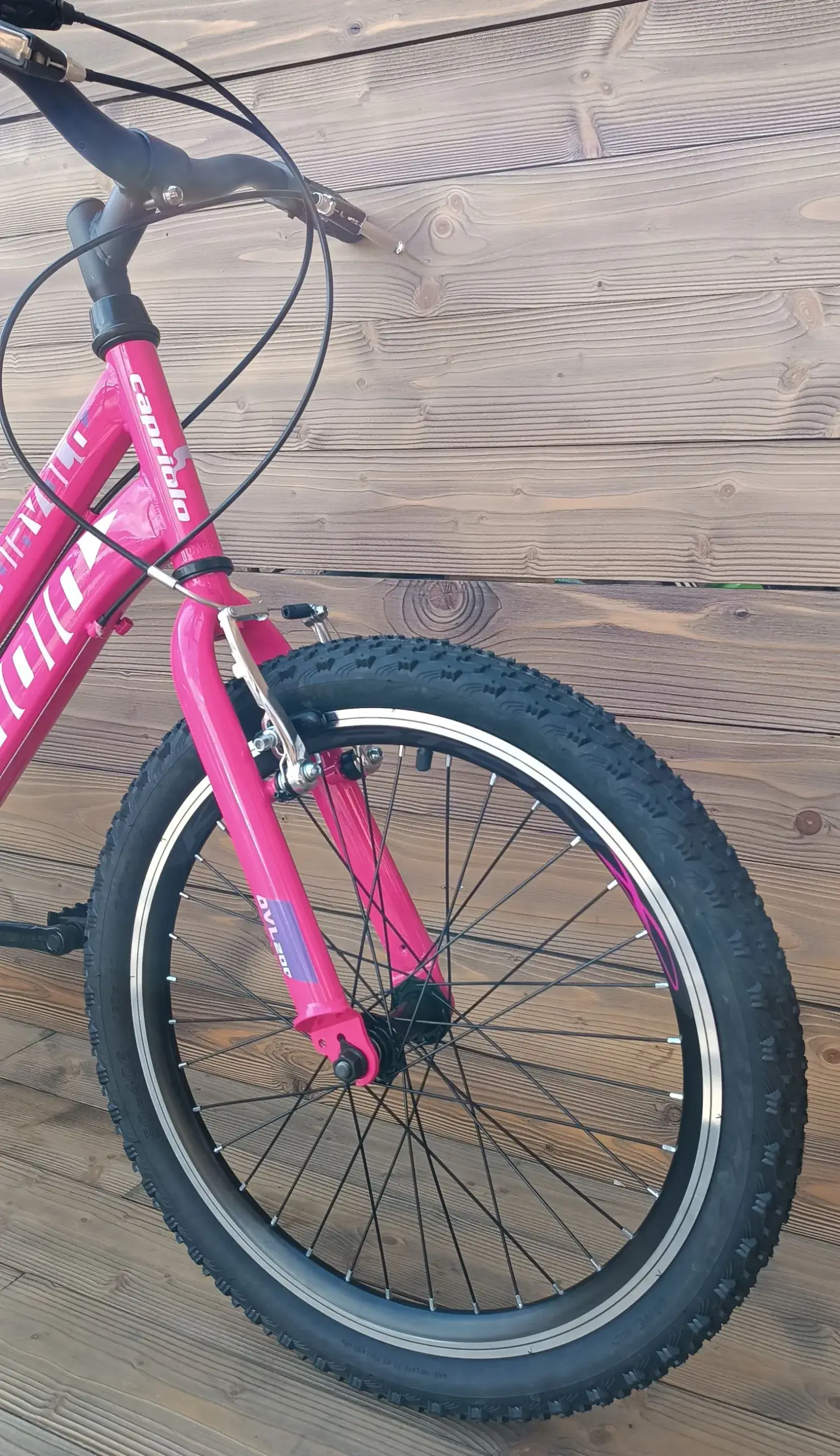 Bicicleta fete roz mov Capriolo Diavolo viteze 6