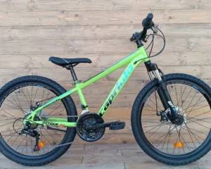 Bicicleta copii 24 inch verde negru Capriolo Oxygen viteze 18