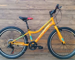 Bicicleta copii 24inch Capriolo Diavolo Galben Rosu Bicicleta copii